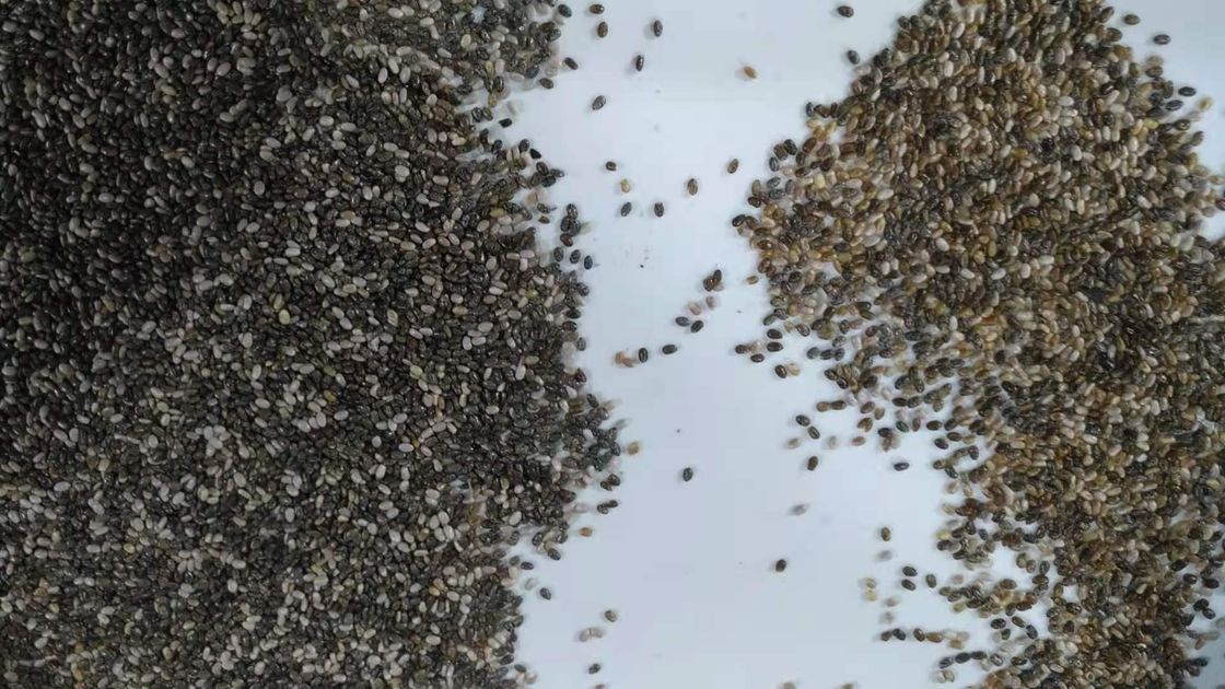 Chiaの種は陶磁器の分類機械高精度を着色する