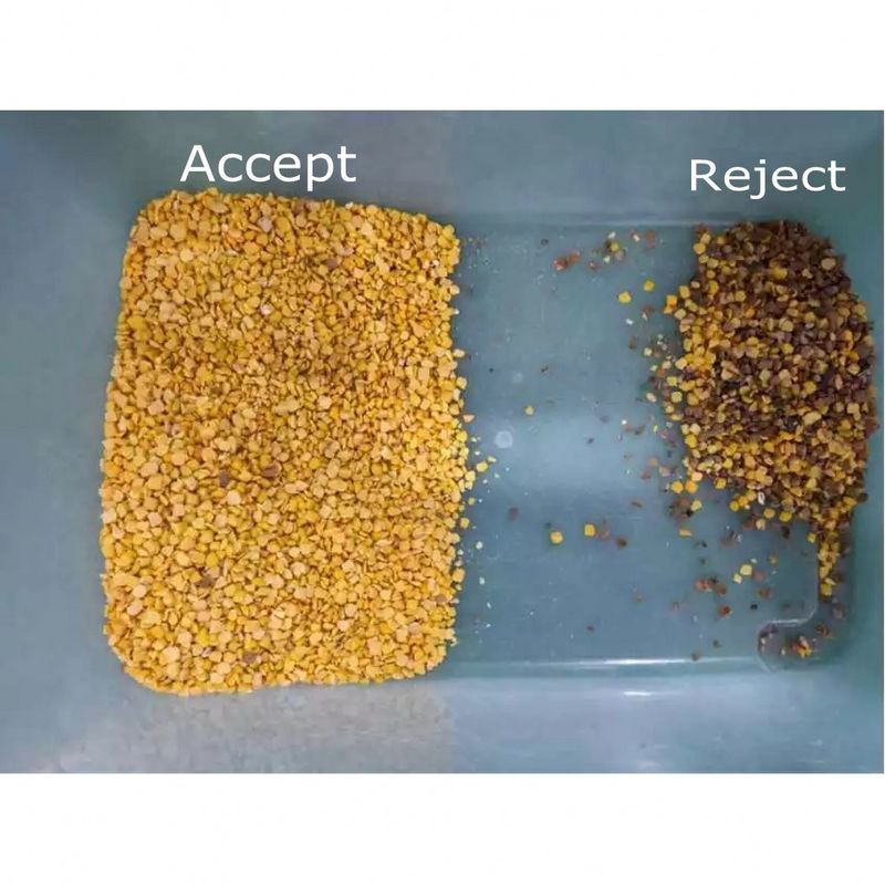 WENYAOはピーナツCCD LEDが付いているくだらない米色の選別機機械の自動的に皮をむいた