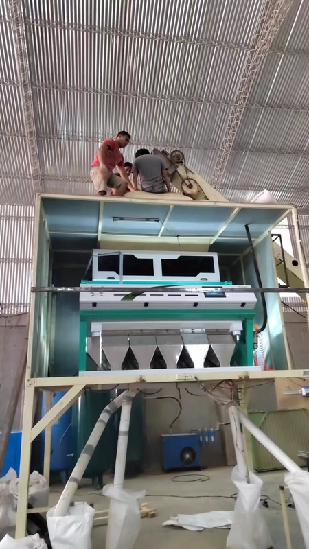 WenyaoのHDPE LDPE PPのABSプラスチック色の選別機機械99.9%正確さ
