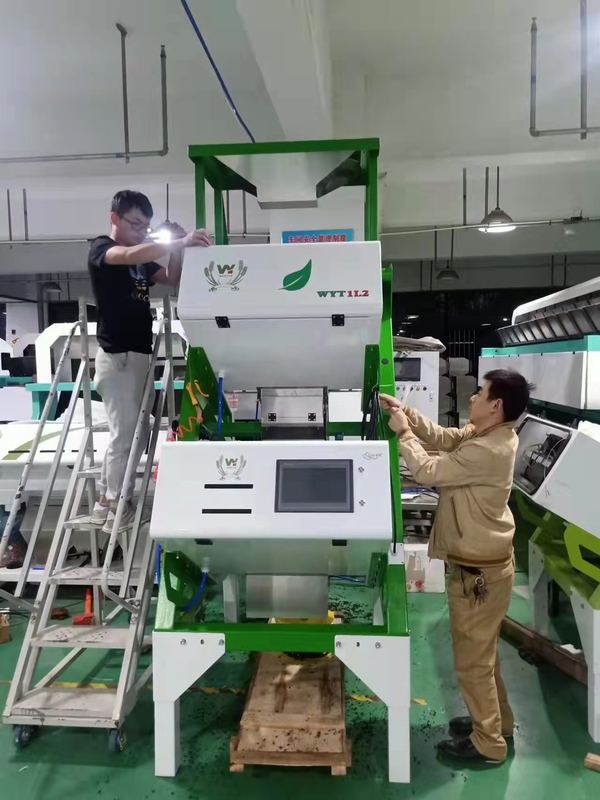 3層高い分類容量の緑の紅茶色の選別機99.99%の正確さ