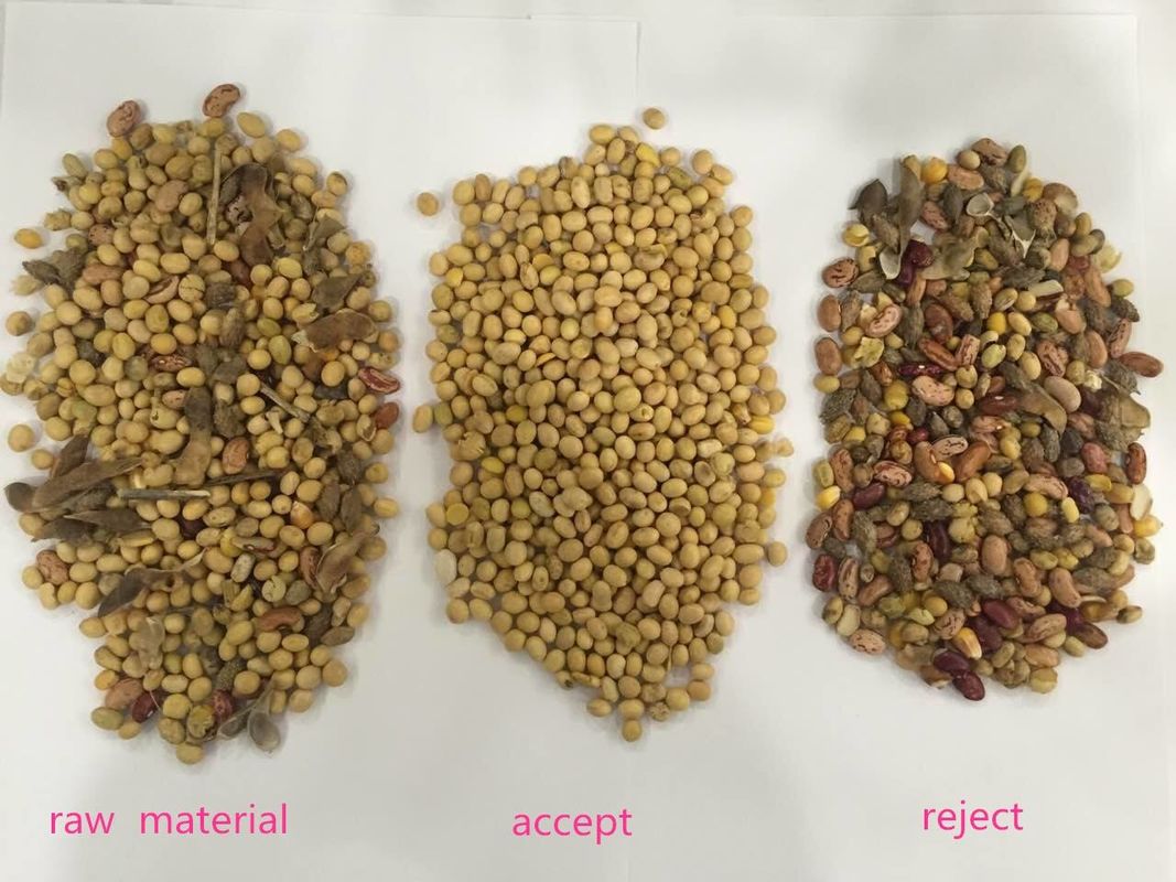 ウェンヤオ 高精度色分け機 豆 穀物 穀物 小麦 玉米 種子 茶 果物 色分け機 Wifi リモート