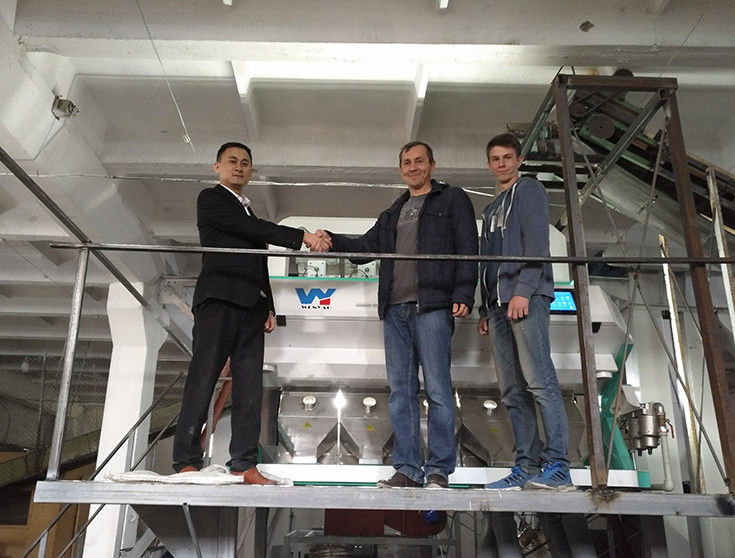 ウェンヤオ 高精度色分け機 豆 穀物 穀物 小麦 玉米 種子 茶 果物 色分け機 Wifi リモート