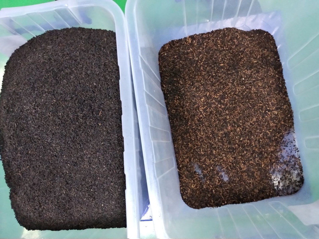 ウェンヤオ CCD 茶色分別機 黒茶 緑茶色分別機 茶葉枝の汚れを除去する