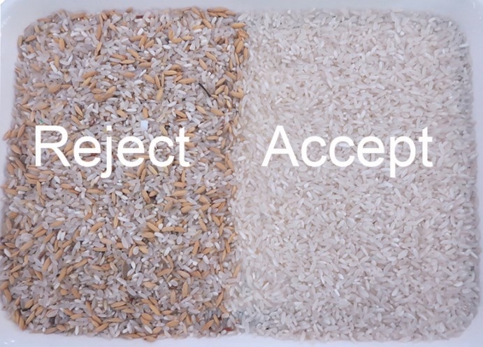 米光 Sorter Rice Color Sorter 米の色 Sorter 米の色 Sorter 米の色 Sorter 米の色 Sorter