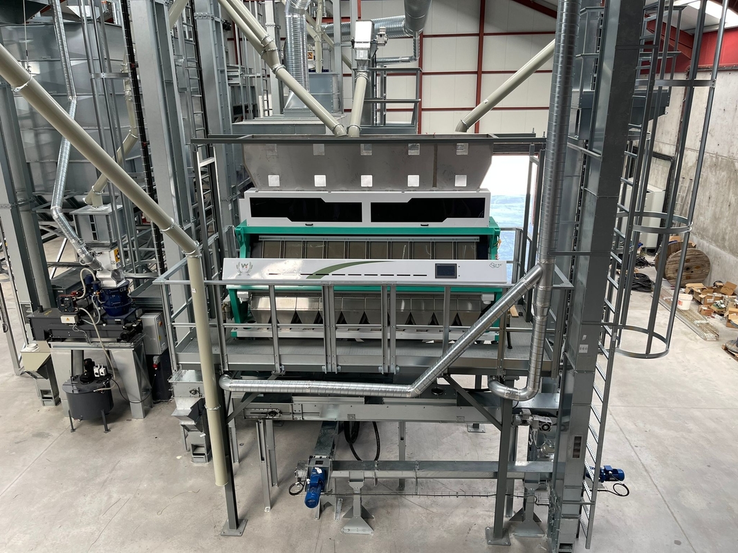 プラスチック粒子は分類機械光学PEのプラスチック色の選別機をリサイクルする