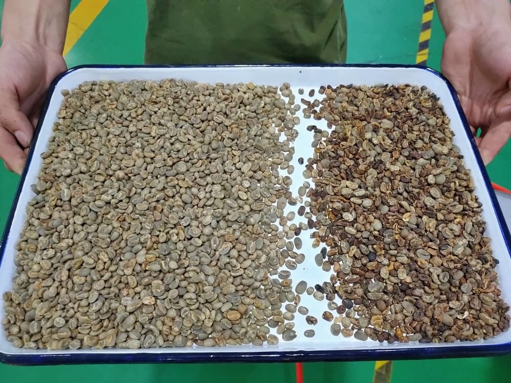 販売のためのカスタマイズ可能な乾燥豆の重力の分離器機械コーヒー豆色の分類し、クリーニング機械