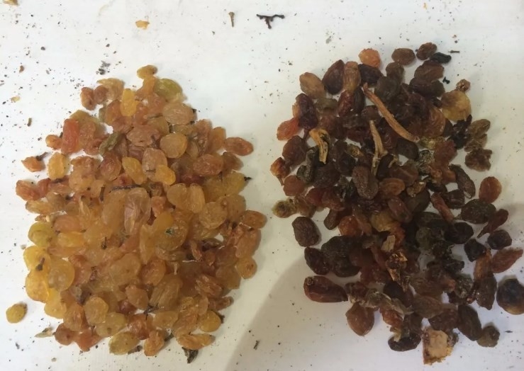 トウモロコシのクルミのひよこ豆ピーナツ オリーブ色色の分離器によって焼かれるナットのカルダモン色分類機械