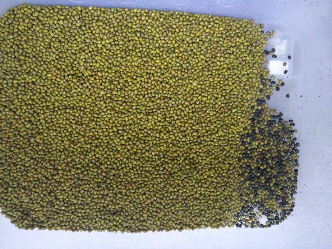 マング・グリーン・ビーンの色分け機 8チャート Wifi リモコン