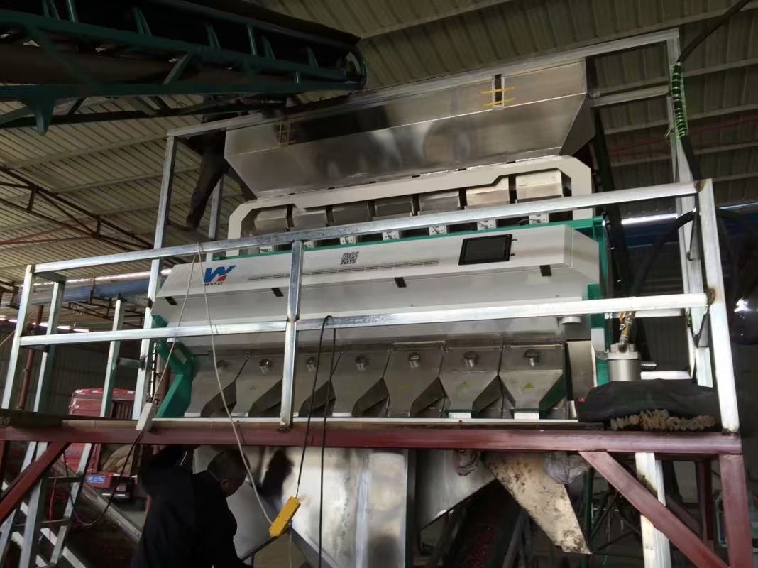 高容量ライス色分別機 0.3 - 0.9t/H 2年分別精度 99.5 - 99.9%