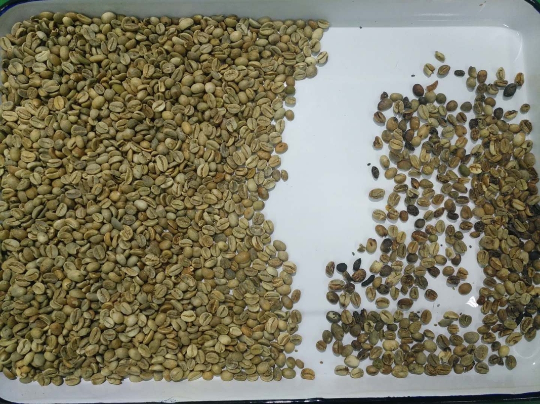 高精度な分類 コーヒー穀物色分け機 米 プラスチックナッツ 選別装置 多機能