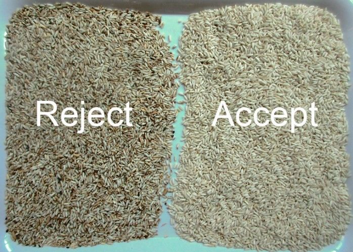 WENYAO 精密選別 米選別作業用多色検出 色彩選別機 蒸し米 長粒種