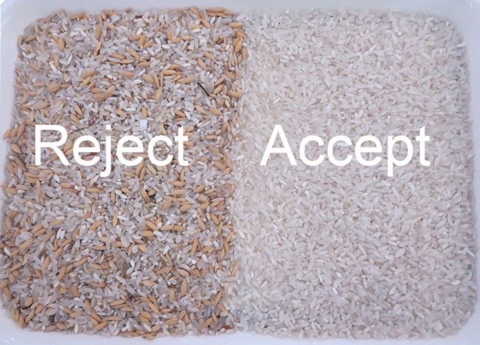 WENYAO 精密選別 米選別作業用多色検出 色彩選別機 蒸し米 長粒種