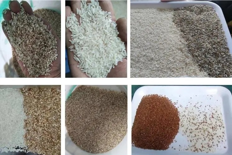 ウェンヤオ フルカラー RGB 色彩選別機 プラスチックペレット 米 豆 選別機