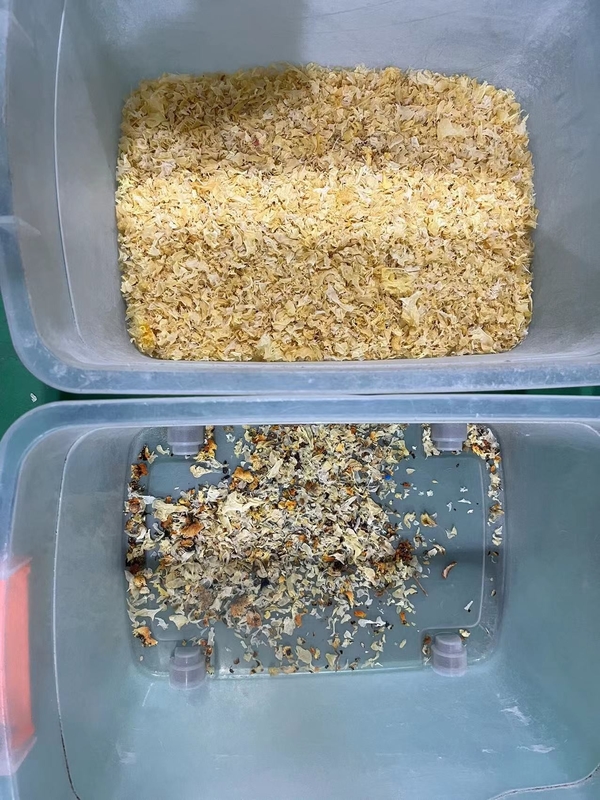 綿花種子色分別機 ガウールガム 紅茶のブドウの色分別機