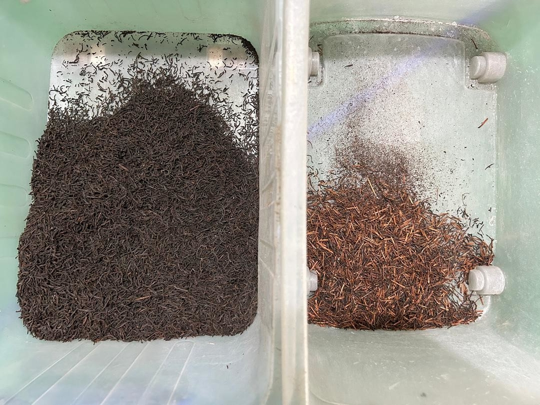 スリランカの黒茶の分類のためのWenyao CCD茶分別機