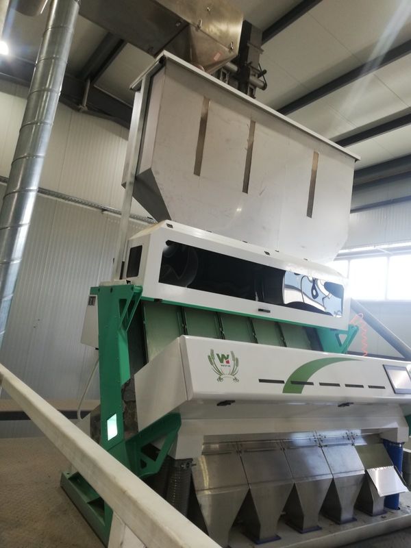 5つのシュートのかび臭いムギ色の選別機、べと病のムギを取除くことのムギのための選別機機械