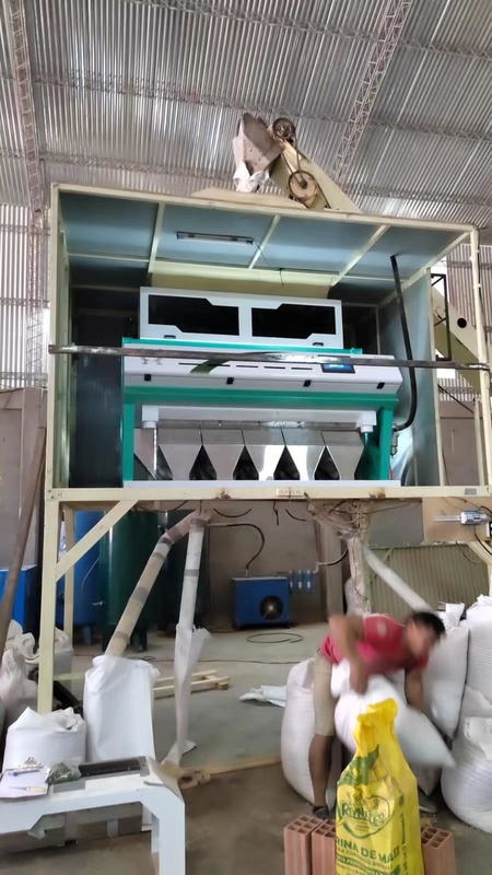 5 チャート 粉状小麦色分別機 粉状小麦を除去する 穀物分別機のための光学穀物色分別機