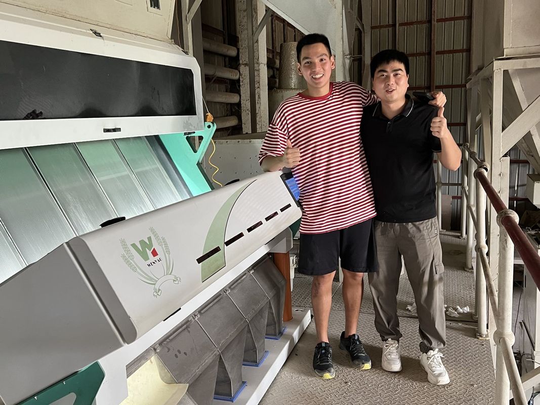 5つのシュートのかび臭いムギ色の選別機、べと病のムギを取除くことのムギのための選別機機械