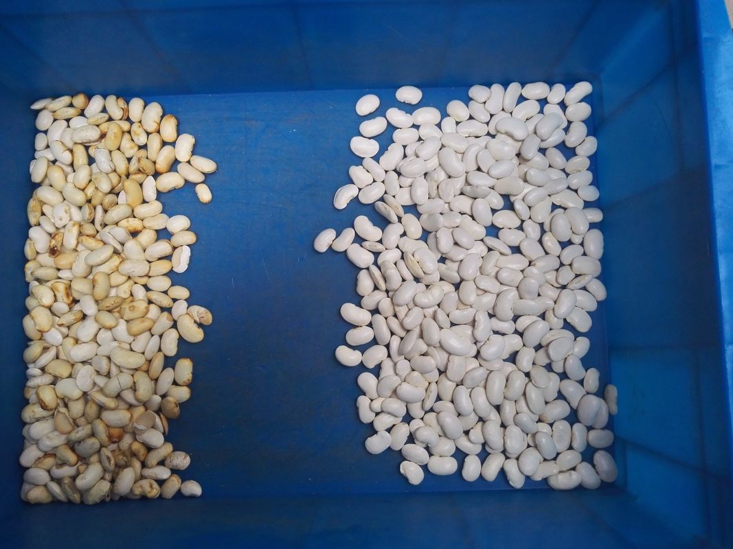 中国から来た ユニッパー カラーソート機 ウェンヤオ カラーソート工場