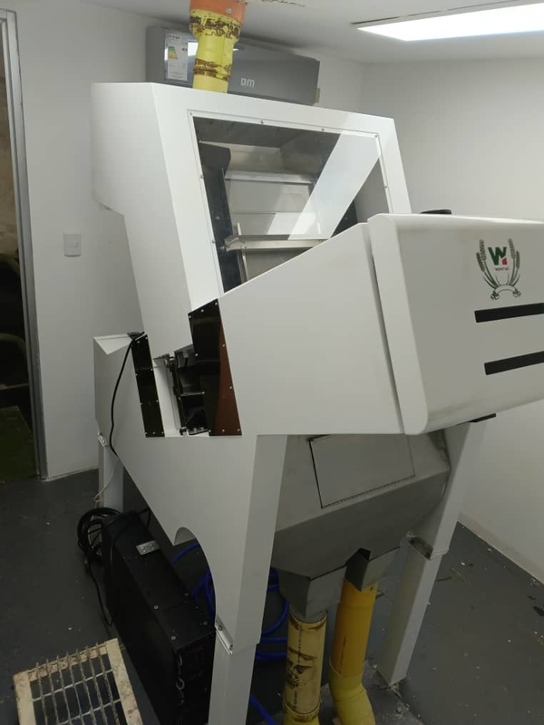 ウェンヤオ 1 シュート フルーツ カラーソート マシン