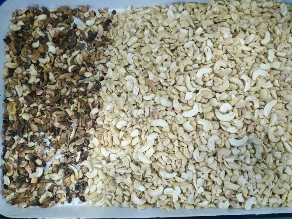 ウェンヤオ マカダミア カラーソートナッツ カラーセレクター マシン カシューナッツ  сорティング マシン