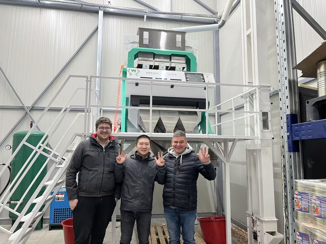 50~8000kg/h コーヒー豆 米 ガーイン プラスチック デジタル ブルーベリー カラーソート機 ナッツ 茶色ソート機 カラーソート機