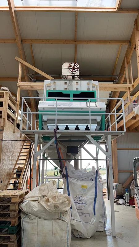 自家設計 高周波エジェクター セサム色分別機