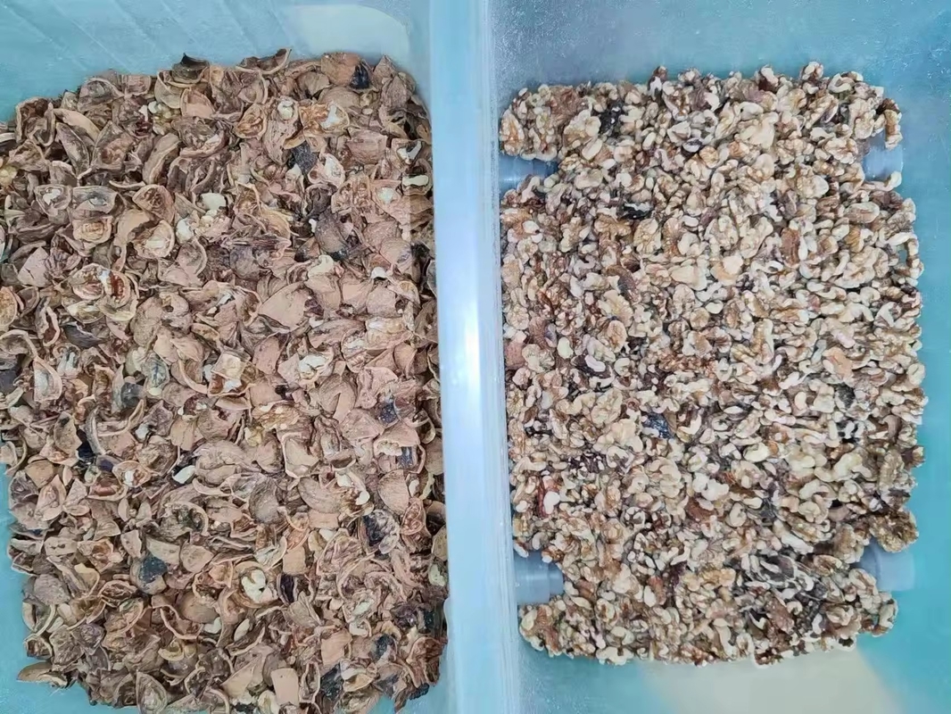 ウェンヤオ 高効率帯色分別機 ガーリック 乾燥果物 野菜 エビ 魚 色分別機 中国製