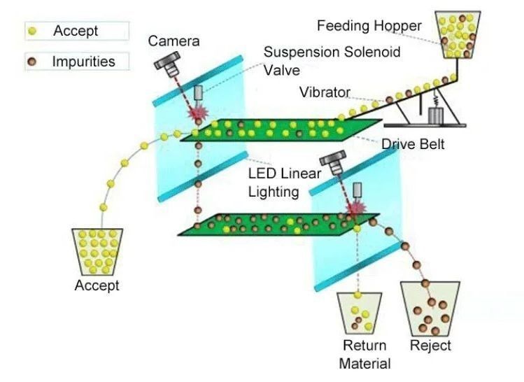 ウェンヤオベルトタイプ プラスチック製のボトルキャップ カラーソート機