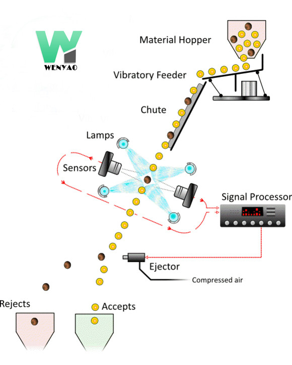 Wenyao CCD カメラ ブラック・ビーンの色分け機 自動色分け機
