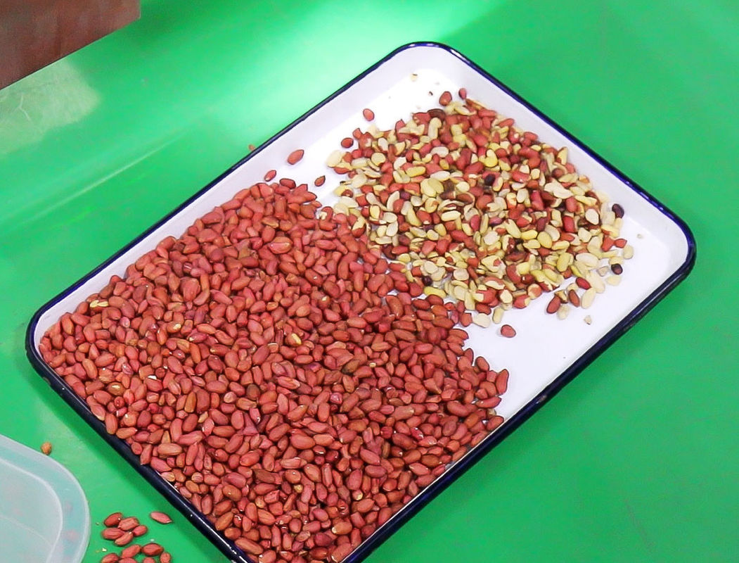 Wenyao CCD カメラ ピーナッツ カラーソート 知的 ピーナッツ カラーソート マシン