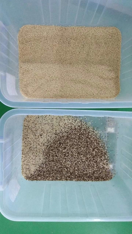 2チャネル 高精度 桃のゴム 粒の色分離器 アラビアオリバノムゴム 色分類機