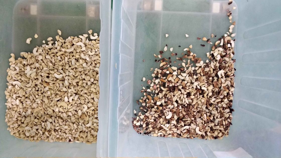 ウェンヤオ・チャート・スタイル キャシューナッツ色分け機 多機能ナッツ色分け機