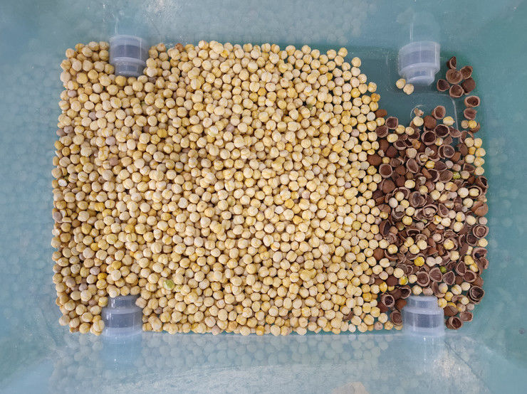 ウェンヤオ オートマティック ハゼナッツ カラーソート マルチファンクション ナッツ カラーソート マシン