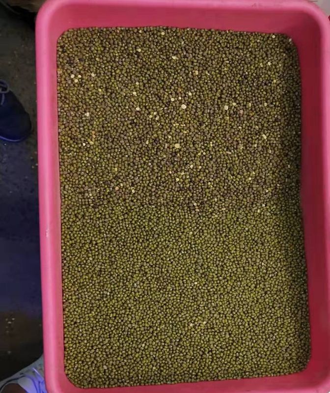 ウェンヤオ・ムング 豆の色分け機 遠隔操作のスマート豆の色分け機