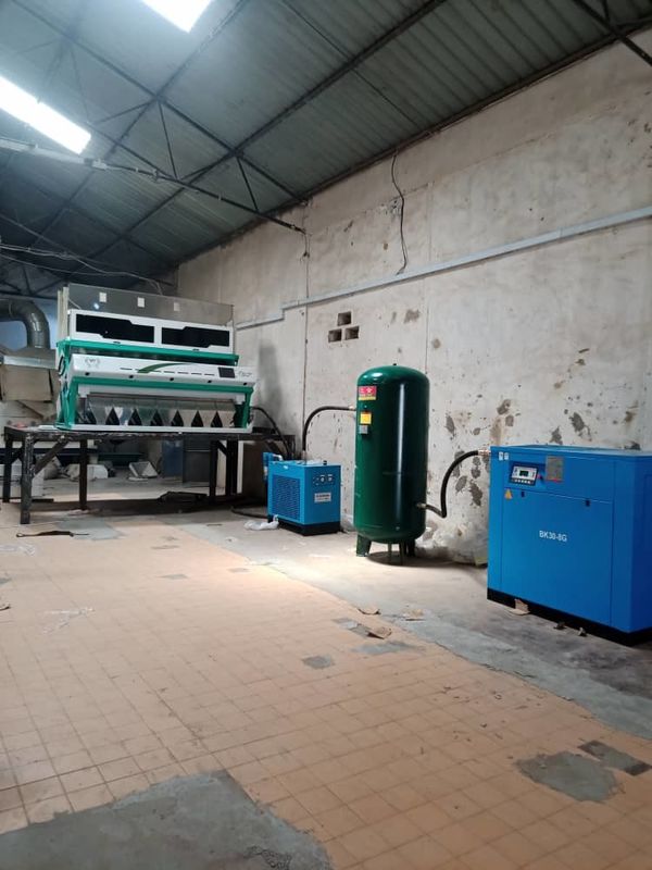 ウェンヤオ ハゼナッツ カラーソート マシン