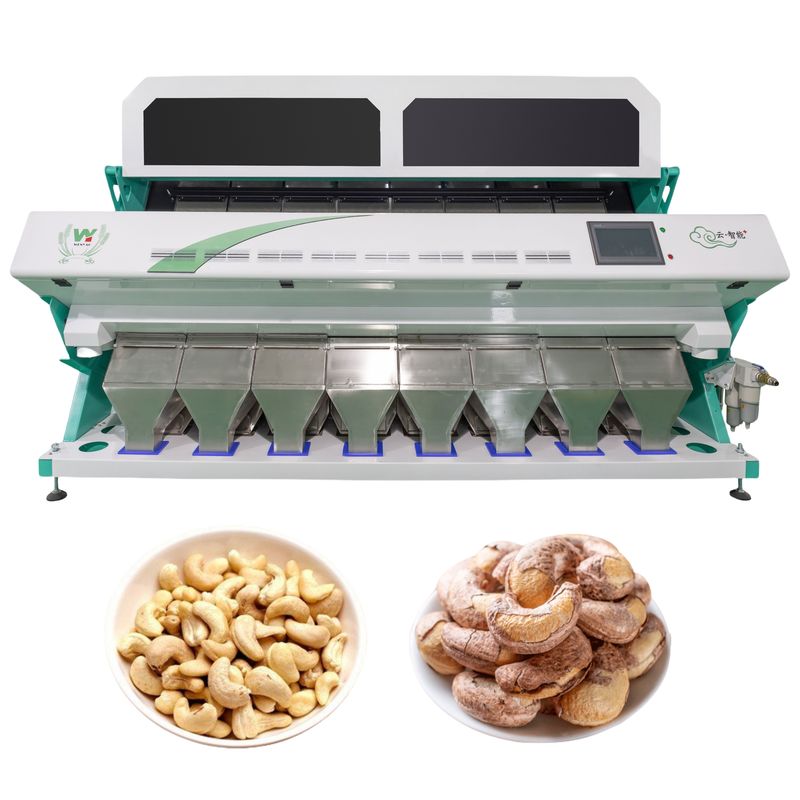 カシューナッツの色分け機 CCDカメラ カシューナッツ豆の色分け機