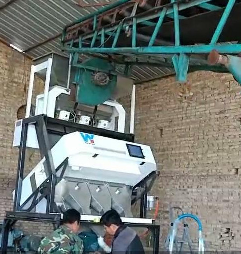 ウェンヤオ ピーナッツ分離機 栗子 ウォールナッツ カラーソート ピーナッツの清掃と分類