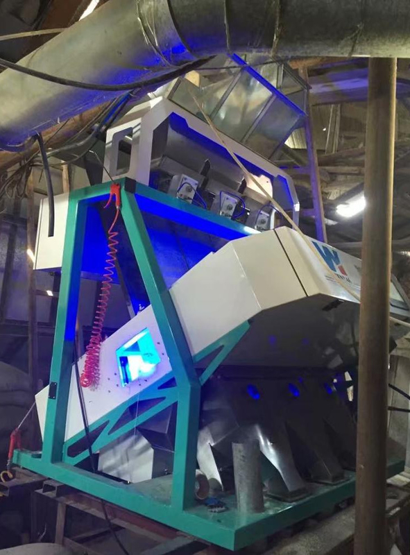 ウェンヤオ 穀物分類器 加工設備 ピーシャーの色 分類機 桃のゴム 色の分類機 ccd 色の分類機