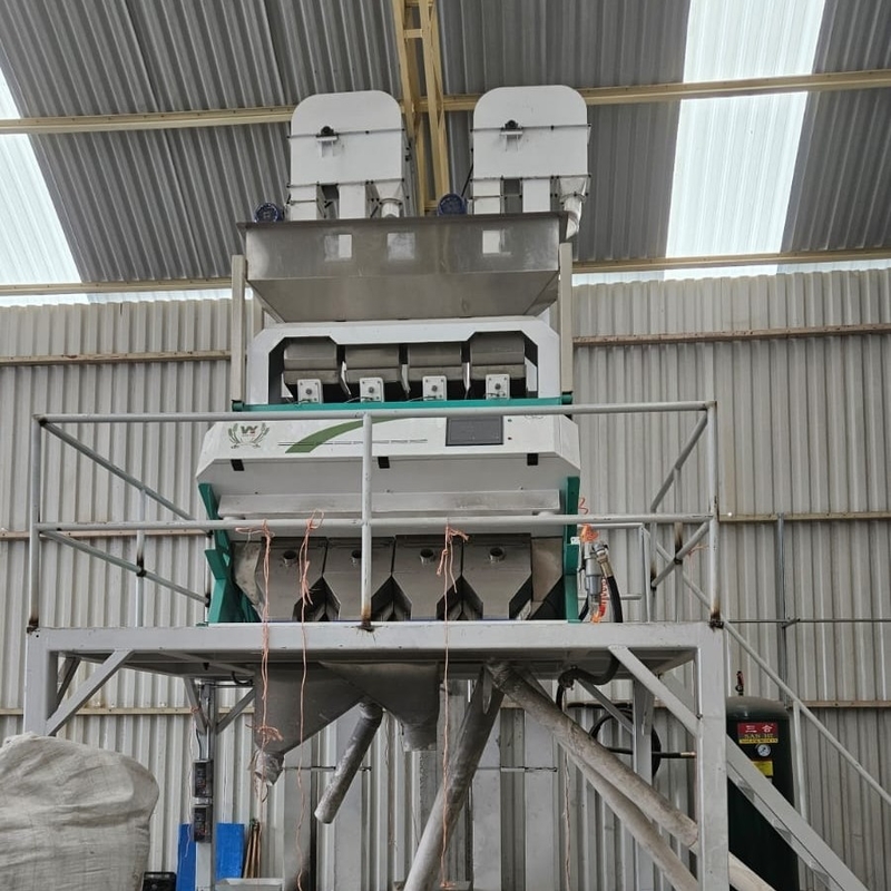 Wenyao 中国工場直販色分け機 多機能腎豆色分け機