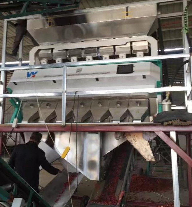 コーヒー チェリー ソーヤ豆 CCD ミニ種子 カラーソート機 穀物 カラーソート機