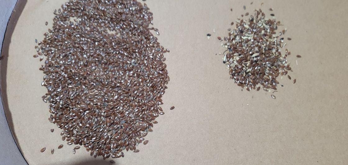 WENYAO AI Optical Seed Color Sorter with High Sorting Accuracy Compact Size and Low Power Consumption