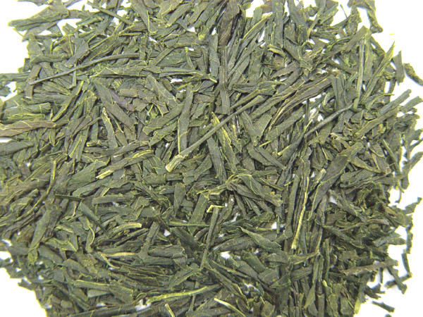 黒緑茶色 茶色 茶色 茶色 茶色 茶色 茶色 茶色 茶色 茶色 茶色 茶色