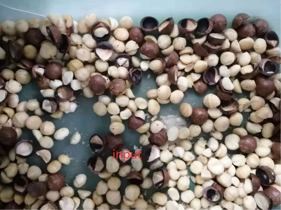 大容量 マカダミアナッツ 選別機 オープン ピスタチオナッツ シェル 機械 杏仁 粉砕 機械 カラー 選別機