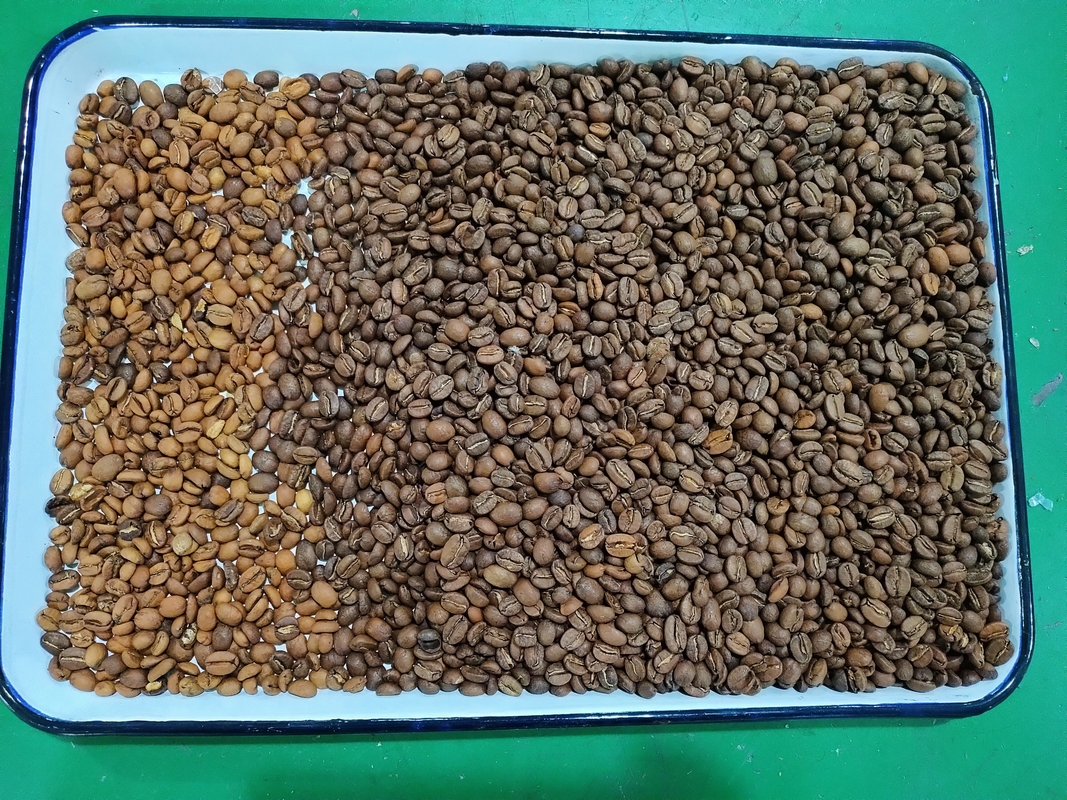 中国 カスタマイズされた食品安全光学色分別機 コーヒー豆のためのCCD色分別機