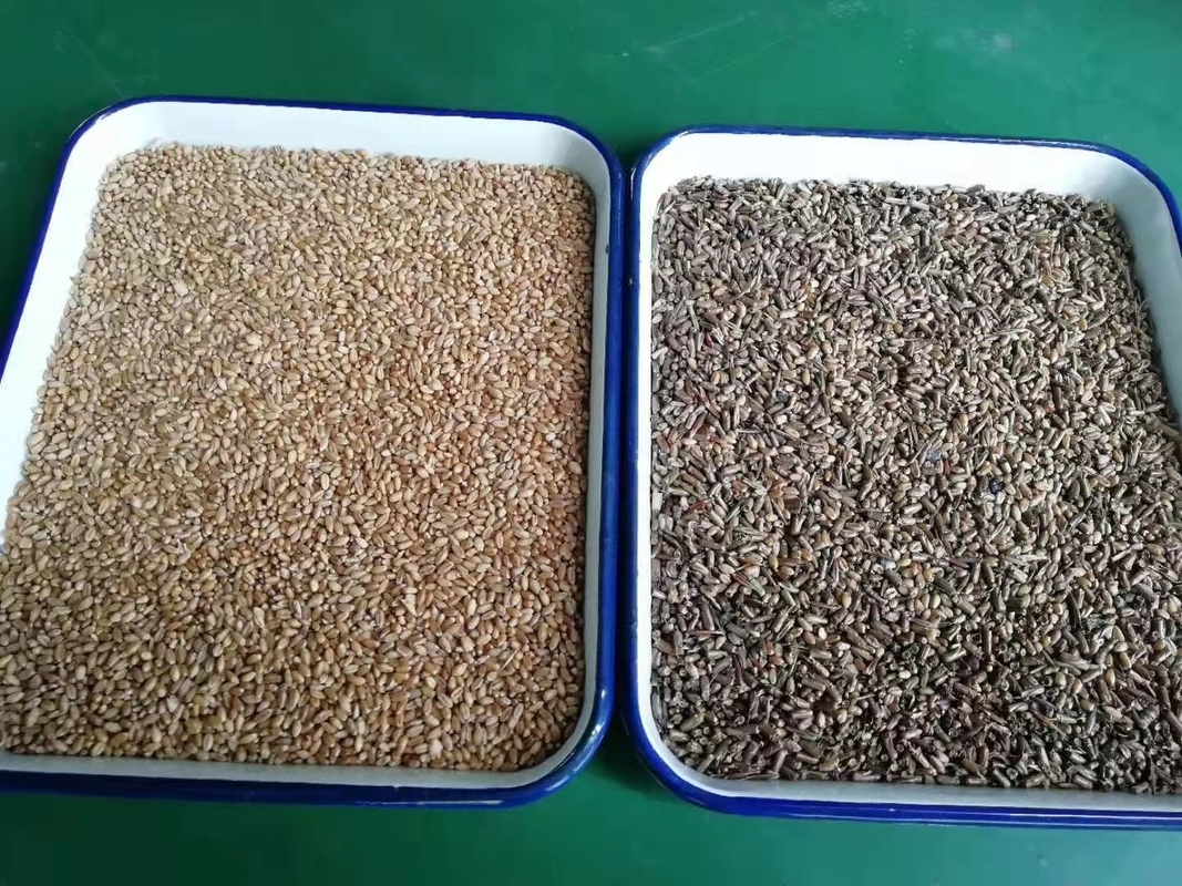 WENYAO 穀物米の自己清掃の高速操作 色分別機