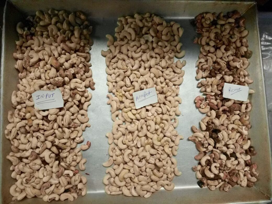 インテリジェント 6 チャート キャシューナッツ カラーソート機 東芝 CCDセンサーとRGBカメラ