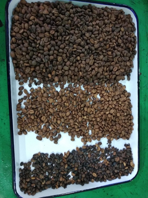 ウェンヤオ 多機能可変CCDカメラ 緑色と焼いたコーヒー豆の色分け機