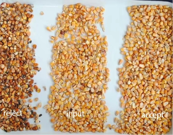 WENYAO 穀物米の自己清掃の高速操作 色分別機