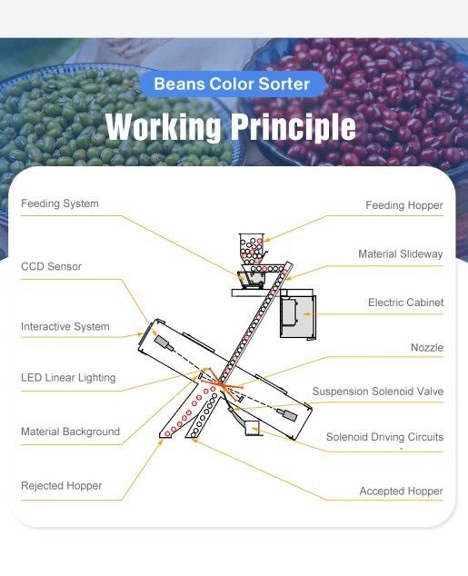 穀物処理 米色彩選別機 光学シュートタイプ